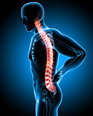 Anatomy of male back pain - buildingtherapyleaders.com