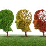Memory loss and brain aging due to dementia and alzheimer's disease as a medical icon of a group of color changing autumn fall trees shaped as a human head losing leaves as intelligence function on a white background.